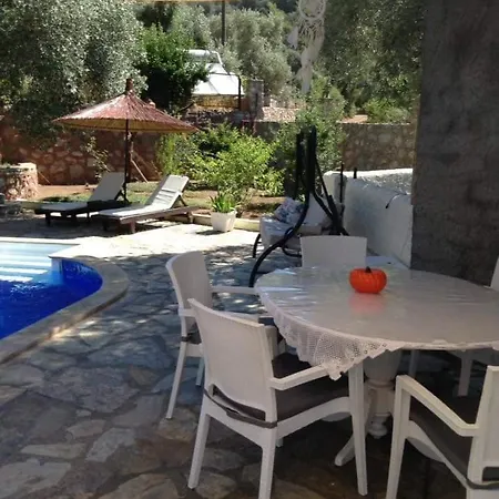 Nesrin Hanim'in Evi *