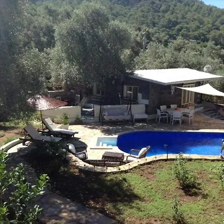 Nesrin Hanim'in Evi